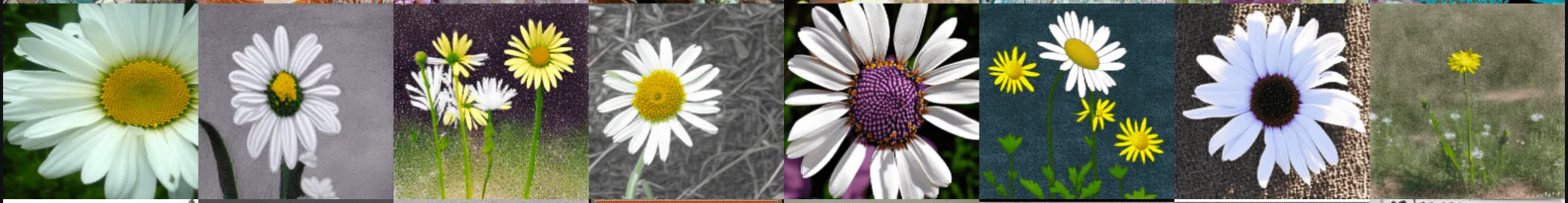 Generated images after the bug fixes